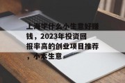 上海学什么小生意好赚钱，2023年投资回报率高的创业项目推荐，小本生意