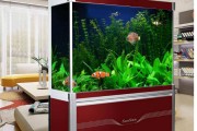 鱼缸排行榜揭晓