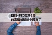 回购+PEG低于1倍的高增长储能个股来了