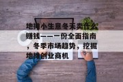 地摊小生意冬天卖什么赚钱——一份全面指南，冬季市场趋势，挖掘地摊创业商机