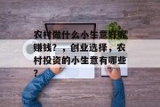 农村做什么小生意好呢赚钱？，创业选择，农村投资的小生意有哪些？