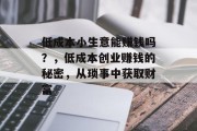 低成本小生意能赚钱吗？，低成本创业赚钱的秘密，从琐事中获取财富