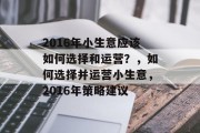 2016年小生意应该如何选择和运营？，如何选择并运营小生意，2016年策略建议