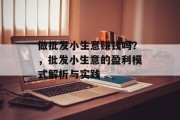 做批发小生意赚钱吗？，批发小生意的盈利模式解析与实践