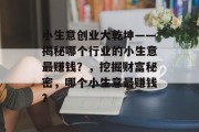 小生意创业大乾坤——揭秘哪个行业的小生意最赚钱？，挖掘财富秘密，哪个小生意最赚钱?