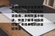 阜阳赚钱的小生意推荐公司——一份实用的投资指南，阜阳致富小秘诀，快速了解阜城投资行业，寻找阜阳的创业好项目