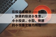 在投资者眼中——小型、快速的投资小生意，小小投资，小型、快速的小生意之魅力所在