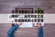 在村子里做什么小生意赚钱？，山村创业之选，挖掘商机的小生意推荐