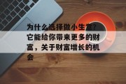 为什么选择做小生意？它能给你带来更多的财富，关于财富增长的机会