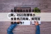 年前赚钱小生意该如何做，2023年赚钱小生意热门方向，如何选择并操作?