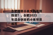 合肥哪些小本生意值得投资？，合肥2023年适合创业的小本项目推荐