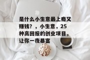 是什么小生意最上瘾又赚钱？，小生意，25种高回报的创业项目，让你一夜暴富