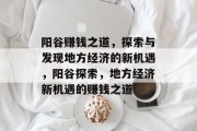 阳谷赚钱之道，探索与发现地方经济的新机遇，阳谷探索，地方经济新机遇的赚钱之道