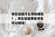现在加盟什么项目赚钱？，现在加盟哪些项目可以赚钱？