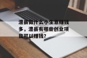 澧县做什么小生意赚钱多，澧县有哪些创业项目可以赚钱？