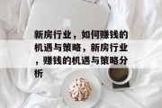 新房行业，如何赚钱的机遇与策略，新房行业，赚钱的机遇与策略分析