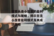 探索头条小生意的盈利模式与策略，揭示主流小生意盈利模式及其成功策略