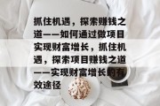 抓住机遇，探索赚钱之道——如何通过做项目实现财富增长，抓住机遇，探索项目赚钱之道——实现财富增长的有效途径