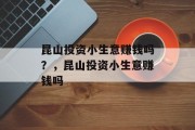 昆山投资小生意赚钱吗？，昆山投资小生意赚钱吗