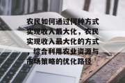 农民如何通过何种方式实现收入最大化，农民实现收入最大化的方式，综合利用农业资源与市场策略的优化路径
