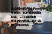海南那些适合新手的创业项目，抓住机遇赚取财富，2023年海南新手创业项目，抓住商机，创造财富