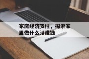 家庭经济支柱，探索家里做什么活赚钱