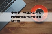 中青宝：公司及实控人因涉嫌信披违规遭证监会立案