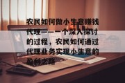 农民如何做小生意赚钱代理——一个深入探讨的过程，农民如何通过代理业务实现小生意的盈利之路