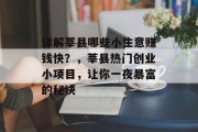 详解莘县哪些小生意赚钱快？，莘县热门创业小项目，让你一夜暴富的秘诀