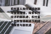 农村富人如何通过创新与智慧赚钱，探索农村经济的新机遇，农村富人创新智慧驱动下的经济探索与新机遇