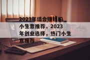 2023年适合赚钱的小生意推荐，2023年创业选择，热门小生意推荐