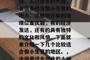 在中国这样一个幅员辽阔、人口众多的大国，有很多适合做小生意的地方。这些地方有的地理位置优越，有的经济发达，还有的具有独特的文化和风情。下面就来介绍一下几个比较适合做小生意的地区。，中国最适合创业的小城市排行榜