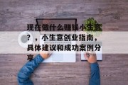 现在做什么赚钱小生意？，小生意创业指南，具体建议和成功案例分享