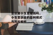 合伙做小生意赚钱吗，小生意创业的盈利模式与风险解析