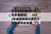 在2023年做什么小生意最赚钱？，2023年最具投资价值的小型创业项目推荐
