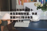 2022年如何通过小本生意赚取财富，快速掌握2022年小本生意赚钱方式
