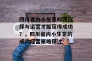 四川省内小生意如何选择与运营才能获得成功？，四川省内小生意的成功经营策略探讨