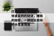打造火爆小生意项目，快速盈利的秘诀，赚钱的秘密，一键轻松启动的小生意项目