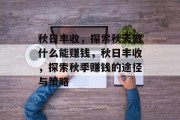 秋日丰收，探索秋天做什么能赚钱，秋日丰收，探索秋季赚钱的途径与策略