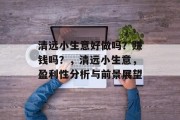 清远小生意好做吗？赚钱吗？，清远小生意，盈利性分析与前景展望