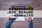 夏季海边捞虾赚钱小生意分析，夏日海边捞虾，一项获利的水上小生意分析