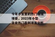 今年小生意的热门赚钱项目，2023年小型企业热门盈利项目分析