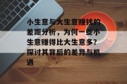小生意与大生意赚钱的差距分析，为何一些小生意赚得比大生意多？探讨其背后的差异与机遇