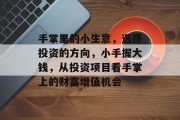 手掌里的小生意，选择投资的方向，小手握大钱，从投资项目看手掌上的财富增值机会