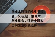 低成本赚钱的小生意投资，50元起，低成本创业机会，适合全职人士的生意投资选择