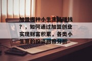 加盟哪种小生意最赚钱？，如何通过加盟创业实现财富积累，各类小生意的投资回报分析