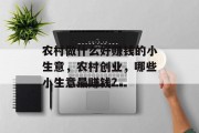 农村做什么好赚钱的小生意，农村创业，哪些小生意最赚钱?