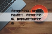 农村创业之路，探索赚钱新模式，农村创业之路，探索新模式赚钱之道