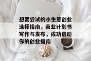 想要尝试的小生意创业选择指南，商业计划书写作与发布，成功启动你的创业指南