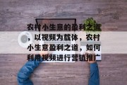 农村小生意的盈利之道，以视频为载体，农村小生意盈利之道，如何利用视频进行营销推广